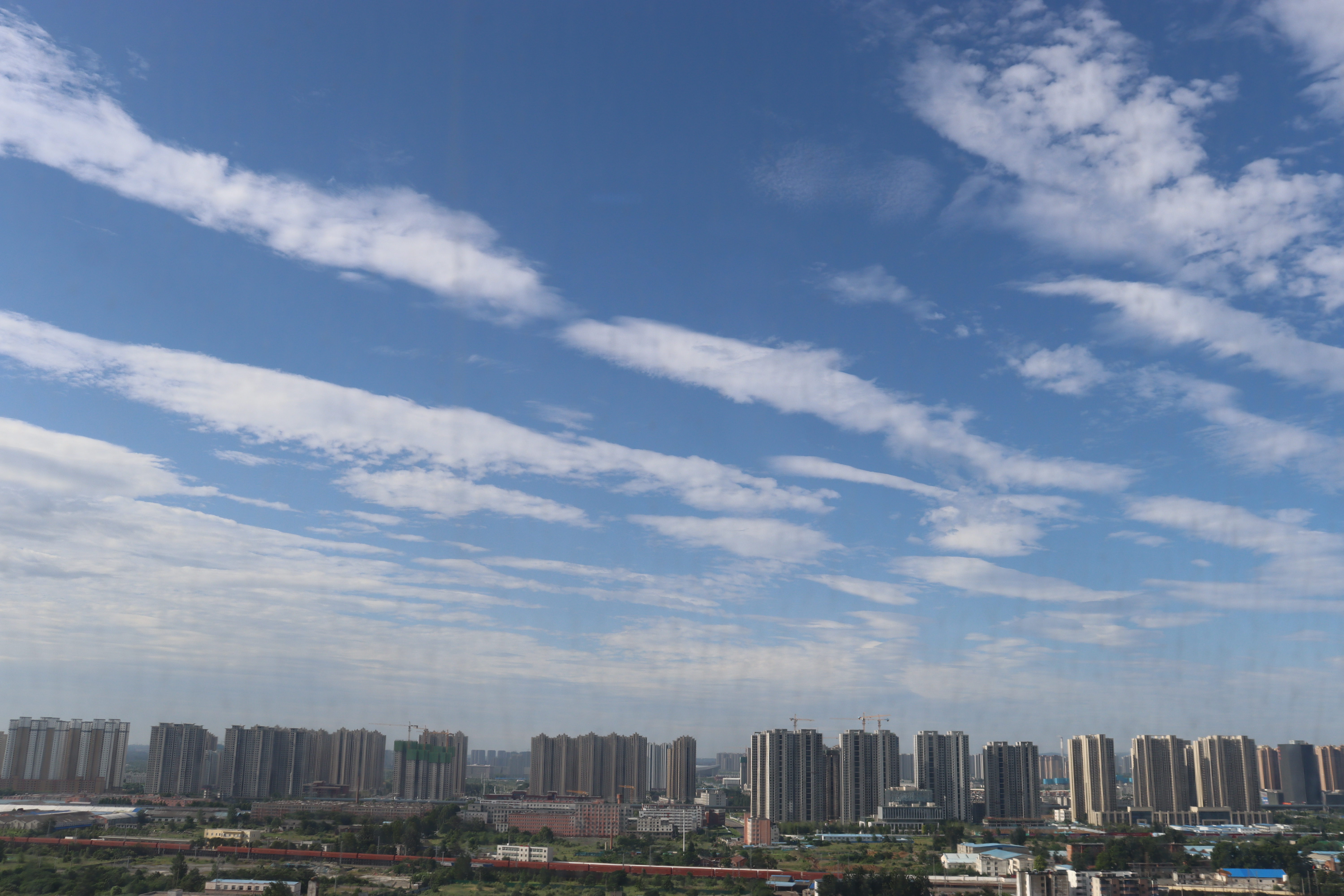 IMG_3771.JPG